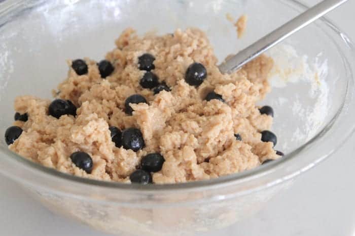 Greek Yogurt Whole Wheat Blueberry Muffins
