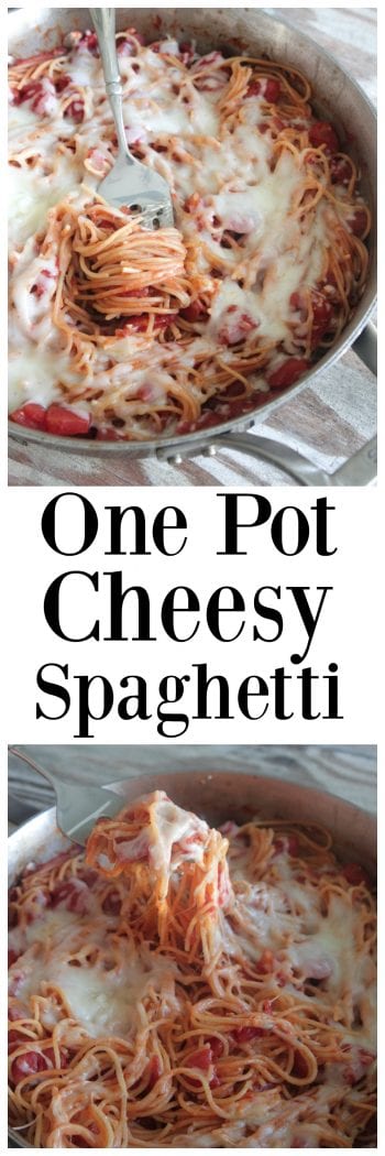 One Pot Cheesy Spaghetti - Picky Palate