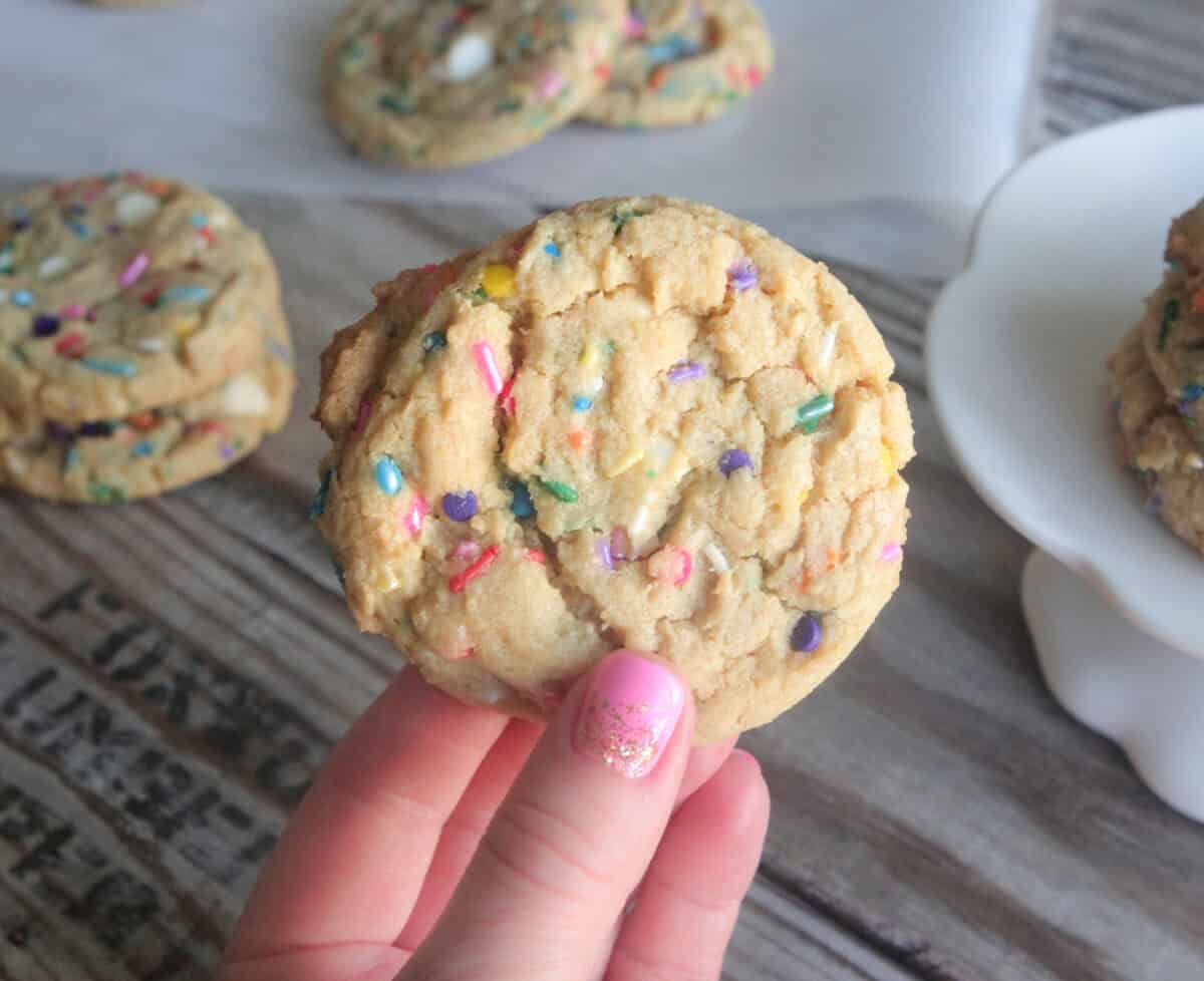 holding funfetti cookie in hand
