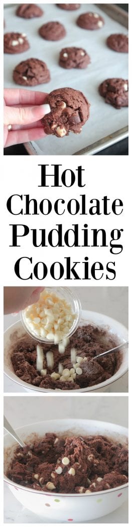 Hot Chocolate Pudding Cookies