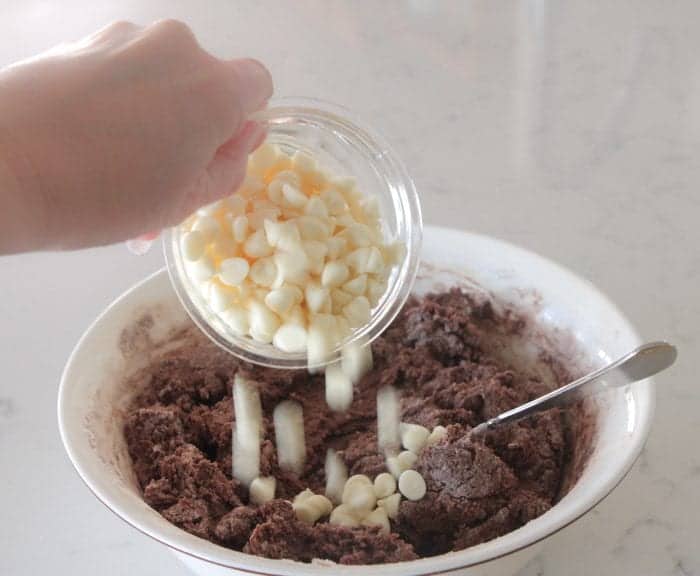 Hot Chocolate Pudding Cookies