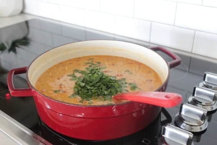 Chicken Taco Soup Boats 