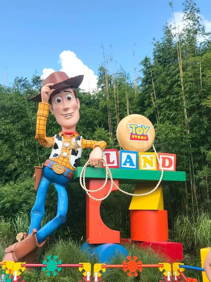 toy story land pin