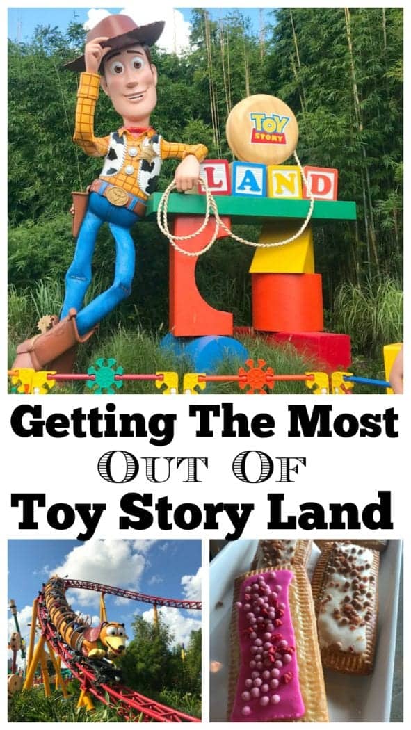 toy story land