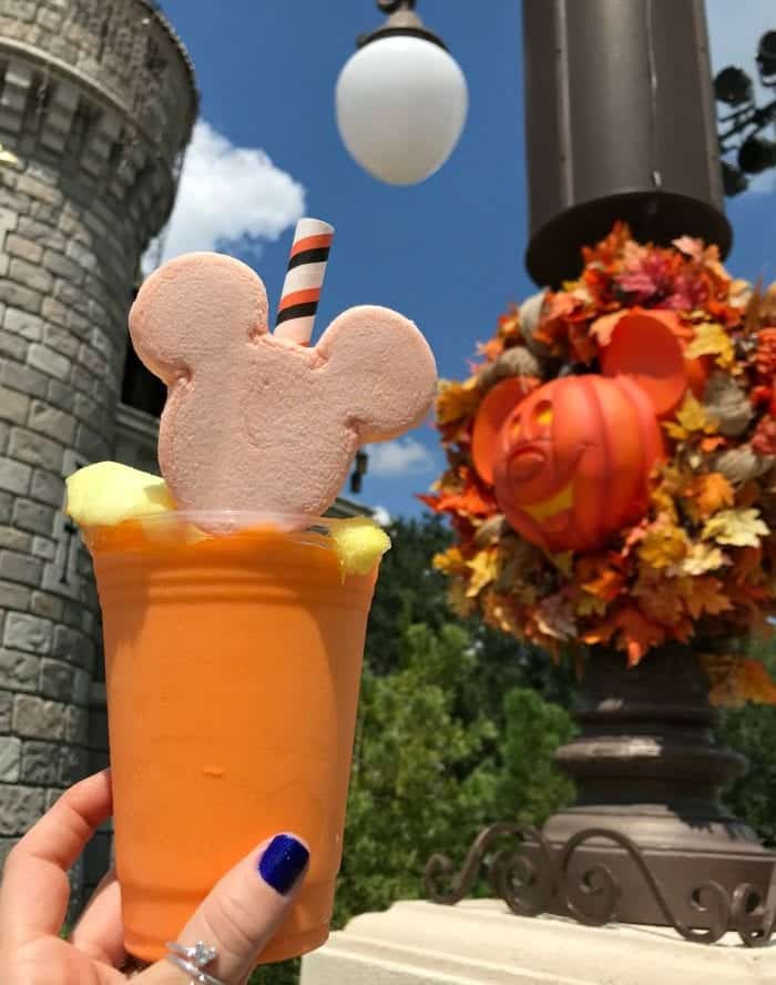 Best Eats at Magic Kingdom For Fall