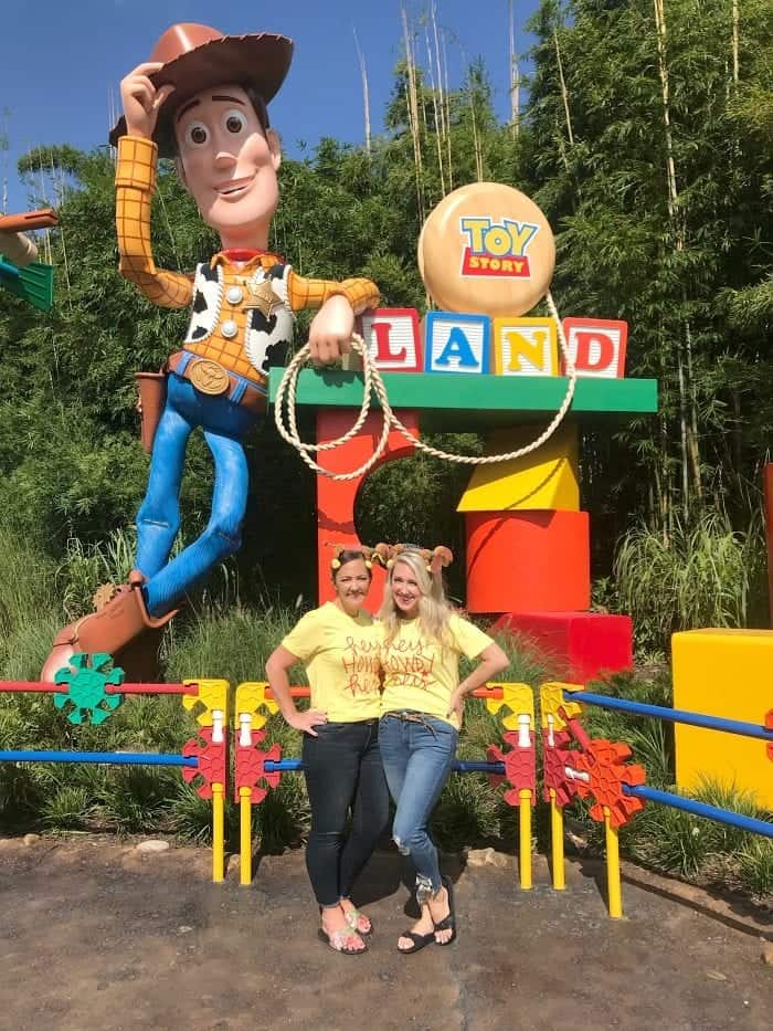 Toy Story Land