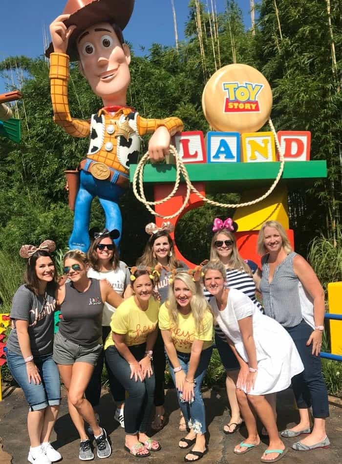 Where Is Toy Story Land