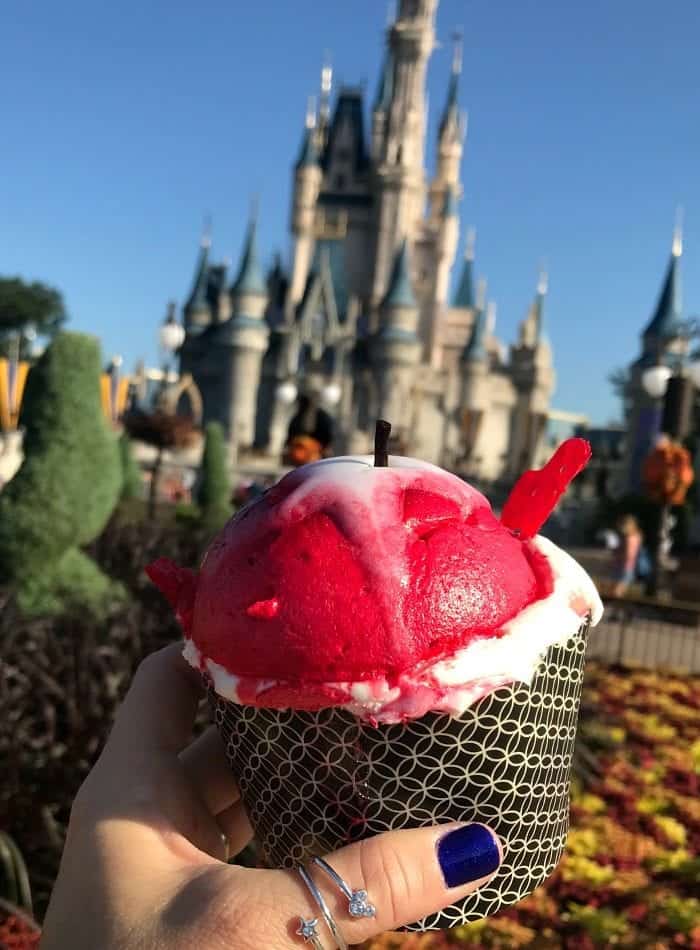 Best Eats at Magic Kingdom For Fall