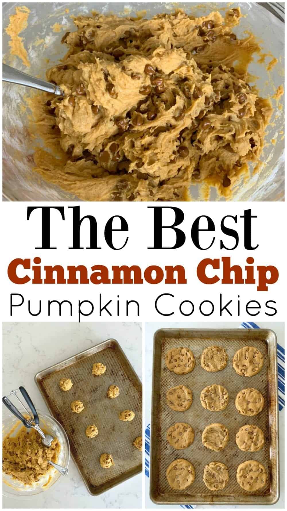 Cinnamon Chip Pumpkin Cookies Picky Palate Pumpkin Spice Cookies!