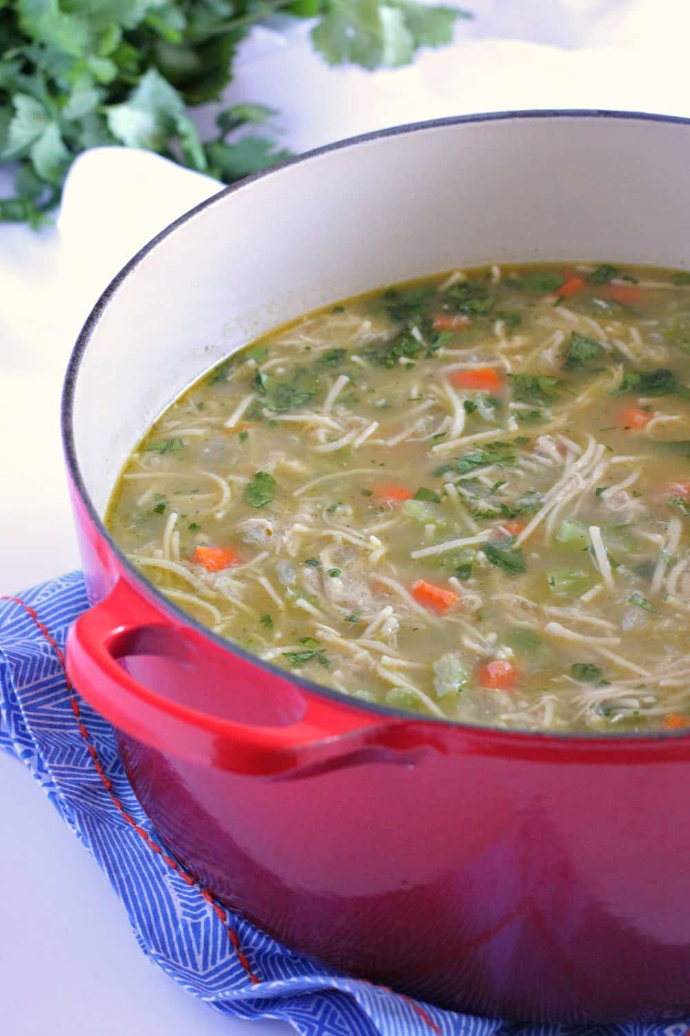 chicken noodle soup in soup pot