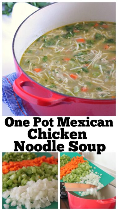 One Pot Mexican Style Chicken Noodle Soup | The Best Soup Recipe