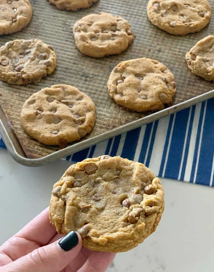 Cinnamon Chip Pumpkin Cookies Picky Palate Pumpkin Spice Cookies!
