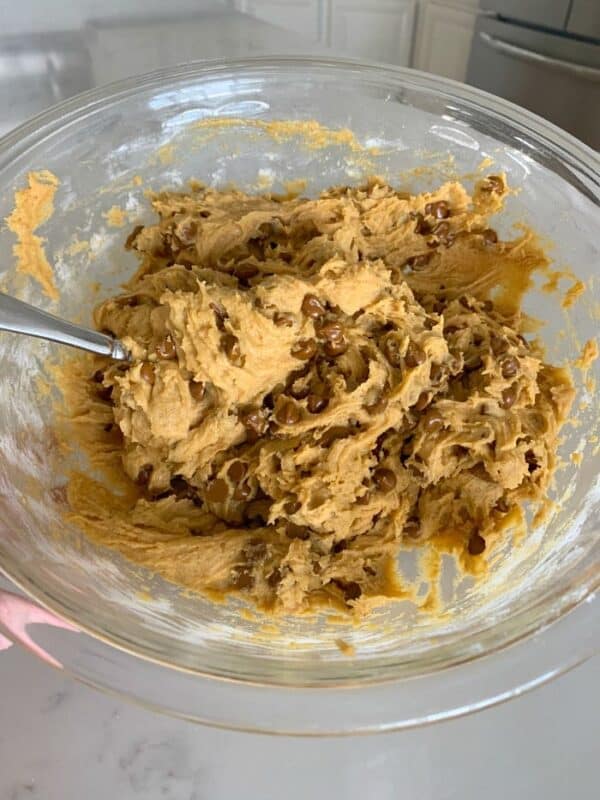 Cinnamon Chip Pumpkin Cookies Picky Palate Pumpkin Spice Cookies!