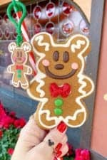 Disneyland Food