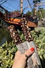 disneyland churros