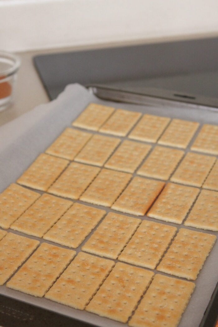 club crackers lined on a parchment lined baking dish