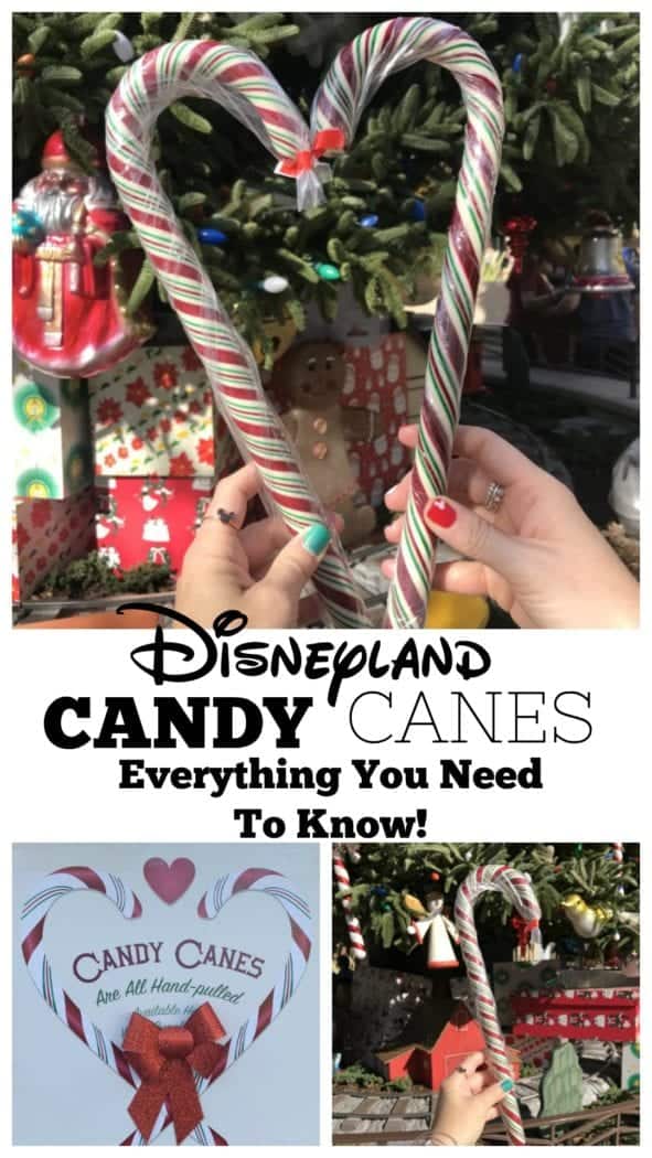 disneyland candy canes