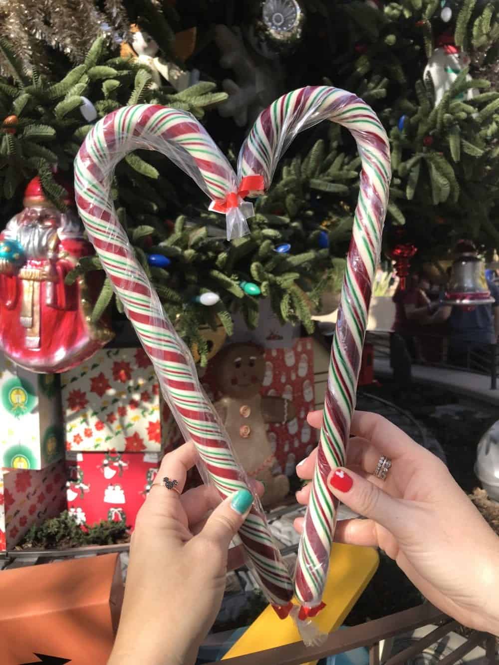 Disneyland Candy Canes Everything You Need To Know! 2019 Dates!