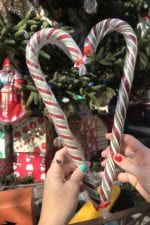 disneyland candy canes