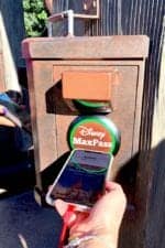 Disney MaxPass