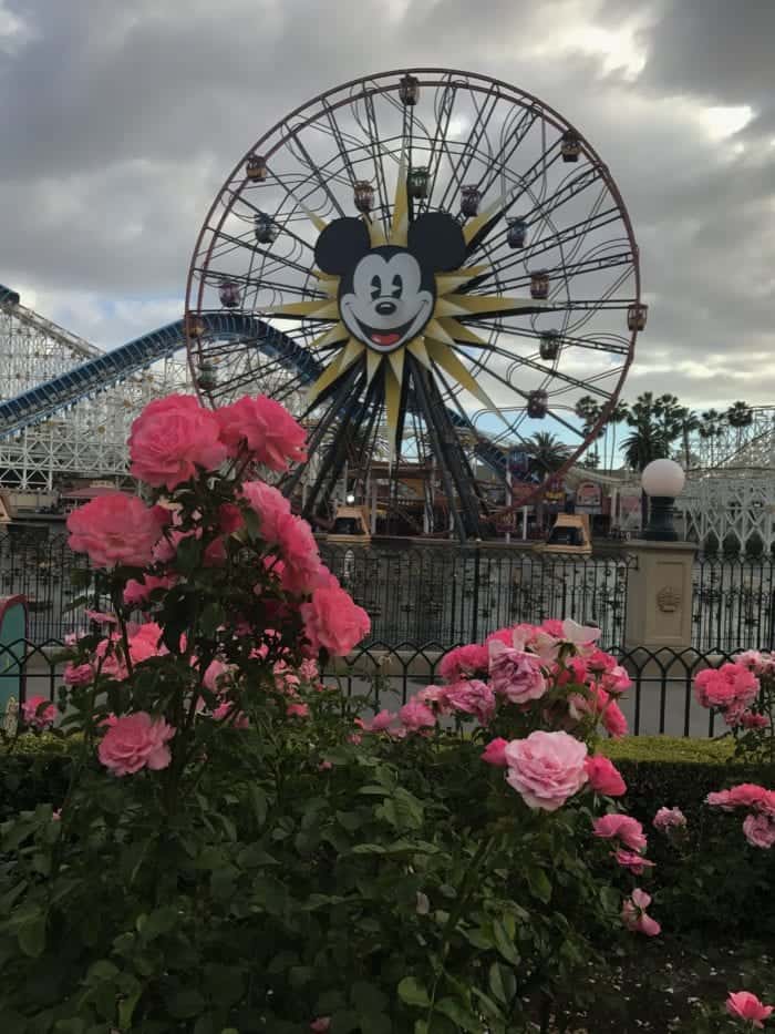 Disneyland in the rain