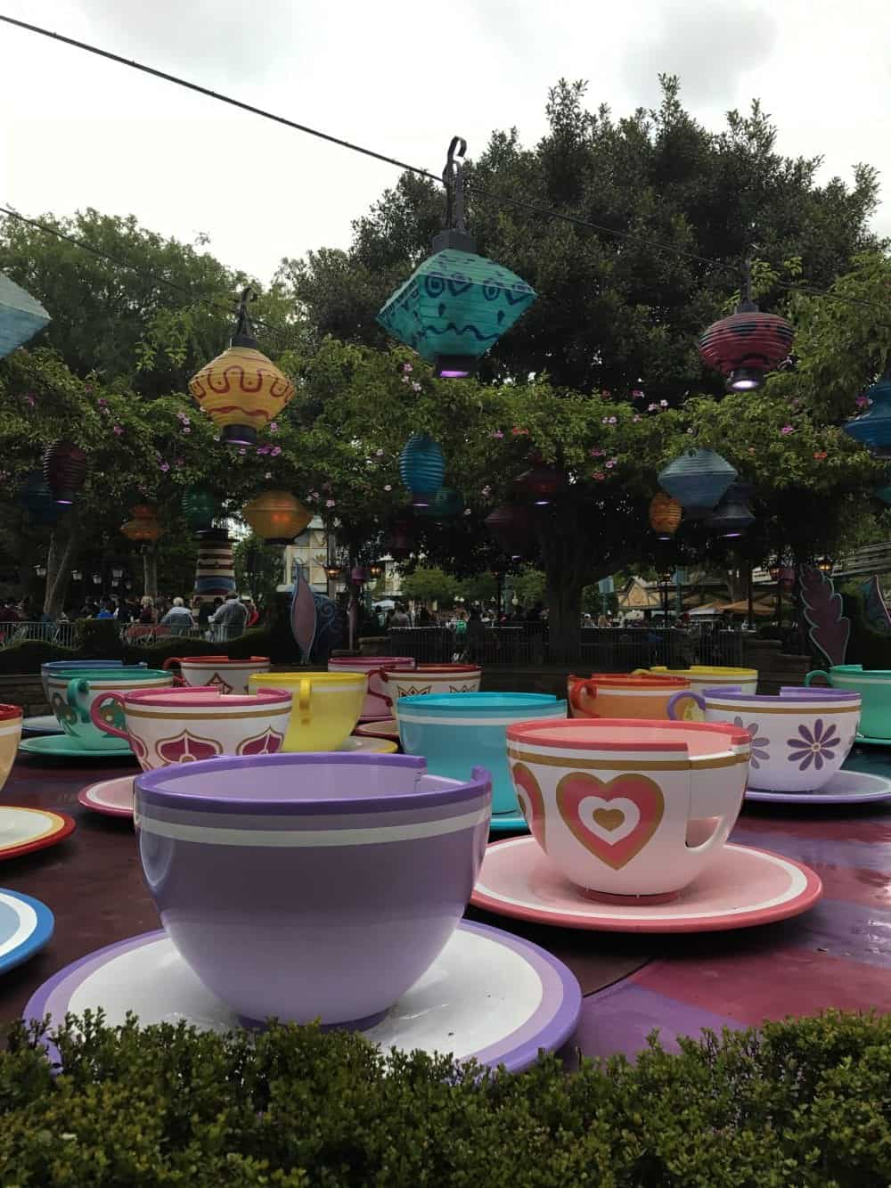Tips For Visiting Disneyland In The Rain - Picky Palate