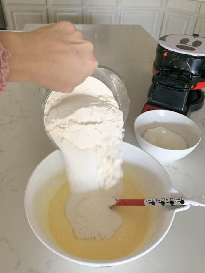 dry waffle ingredients in mixing bowl