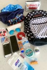 Disneyland Backpack