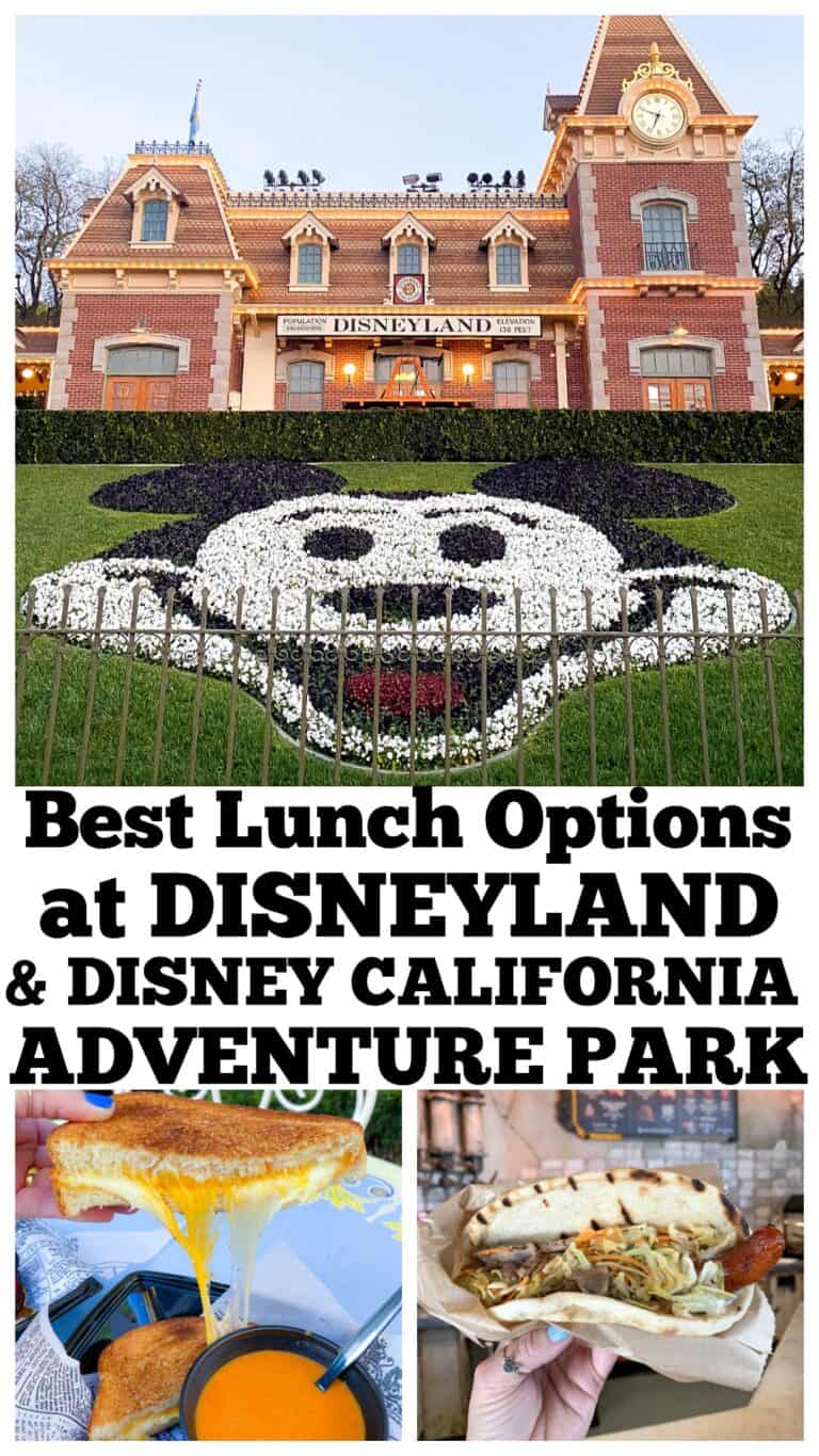 Best Disneyland Restaurants For Lunch - Disneyland Dining