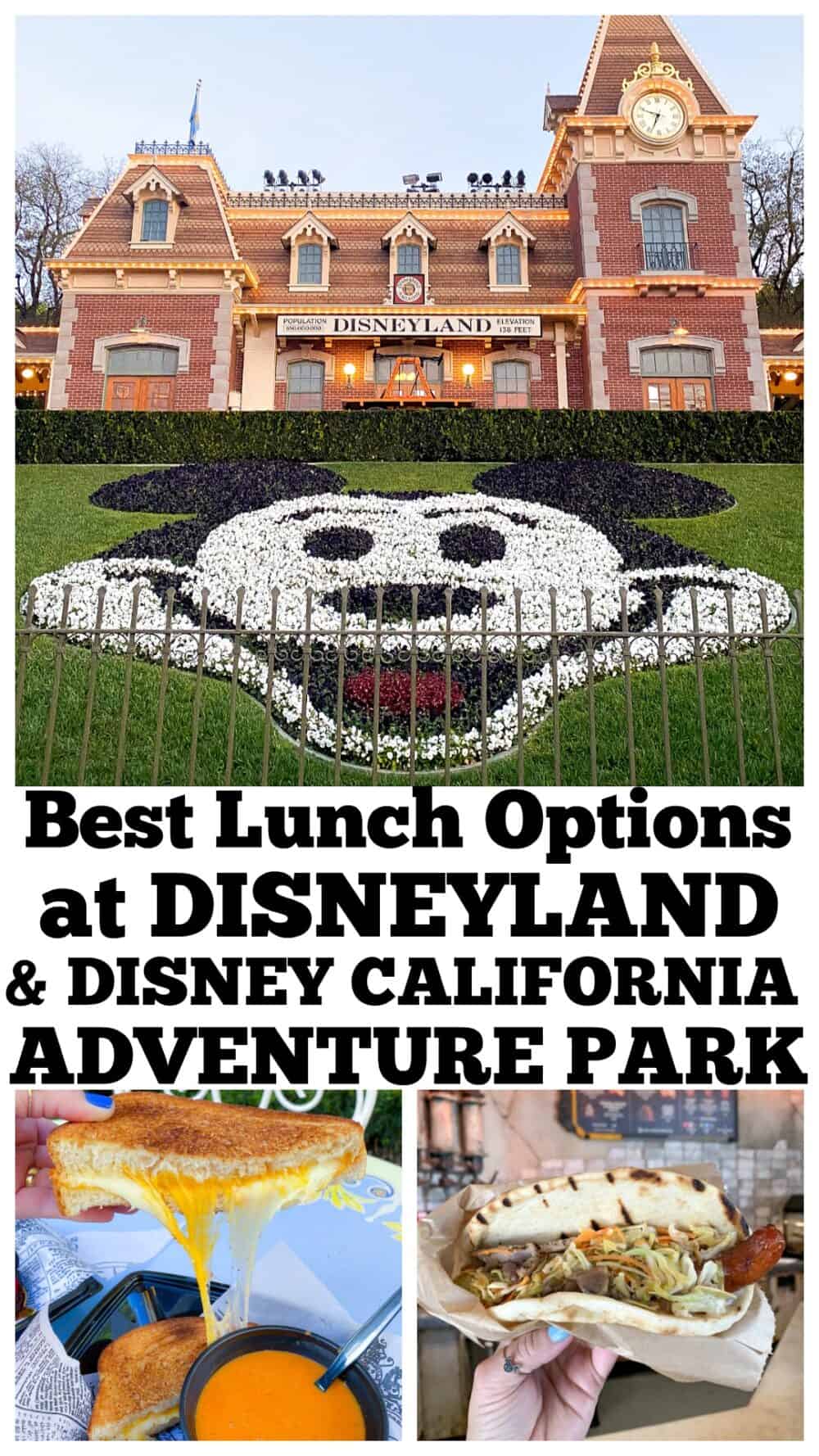 disneyland lunch