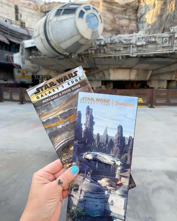 Star Wars: Galaxy's Edge Cookbook - How to Make Moogan Tea 