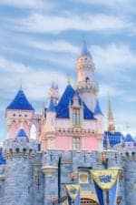disney tips