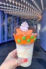 disney california adventure