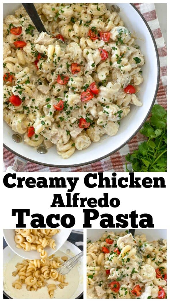 Creamy Chicken Alfredo Taco Pasta | Weeknight Dinner Idea!