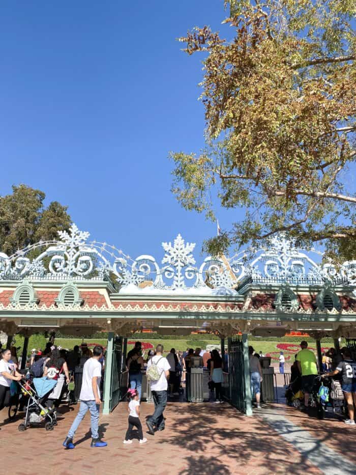 The Best Christmas Food at Disneyland in 2019 | Picky Palate