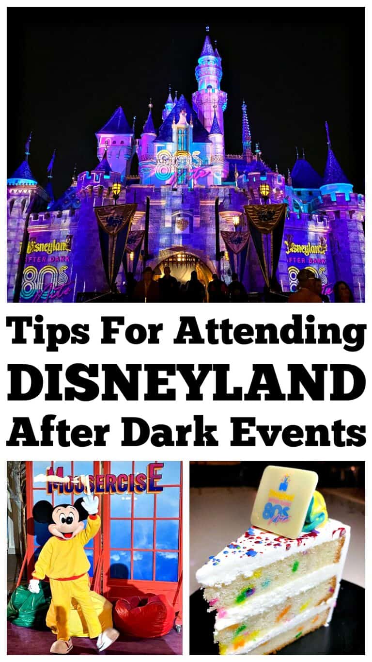 Top Tips for Disneyland After Dark Events Picky Palate