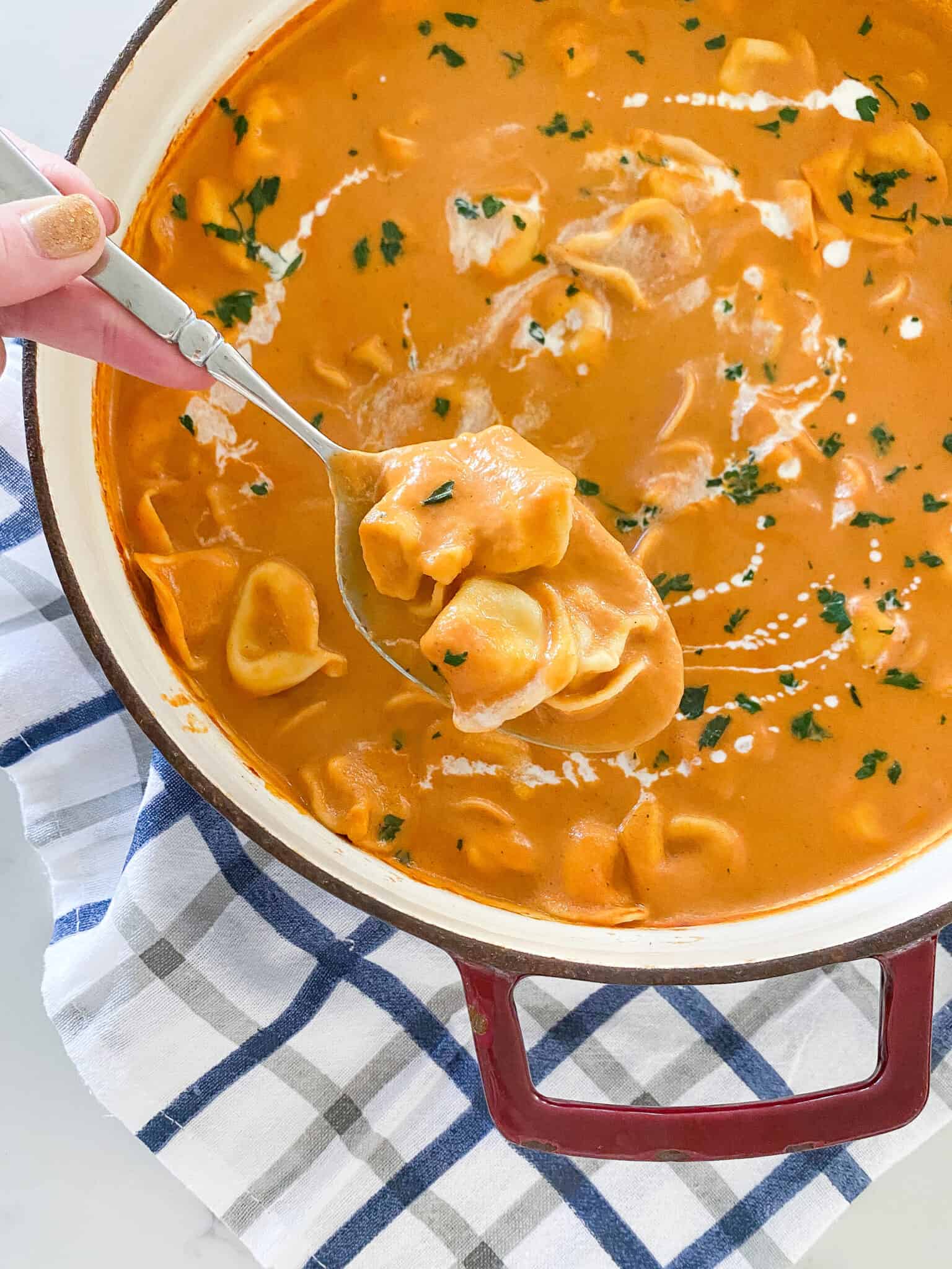 Easy Tortellini Tomato Bisque Recipe Picky Palate