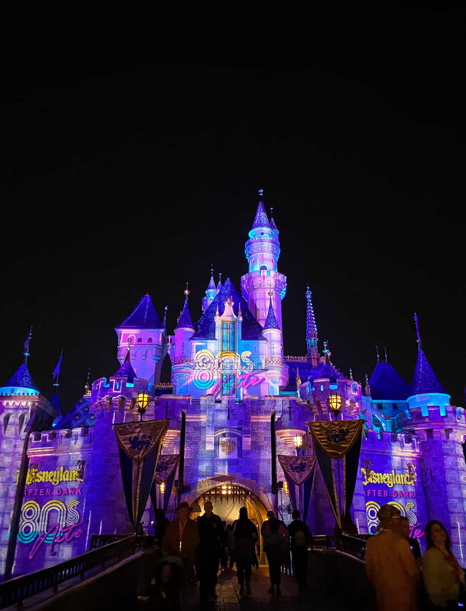 Top Tips for Disneyland After Dark Events Picky Palate