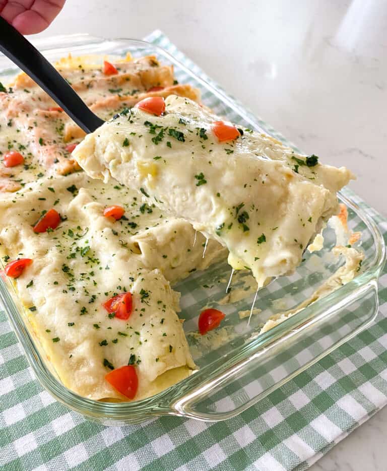 Homemade Double Enchilada Recipe Beef AND Chicken Enchiladas!