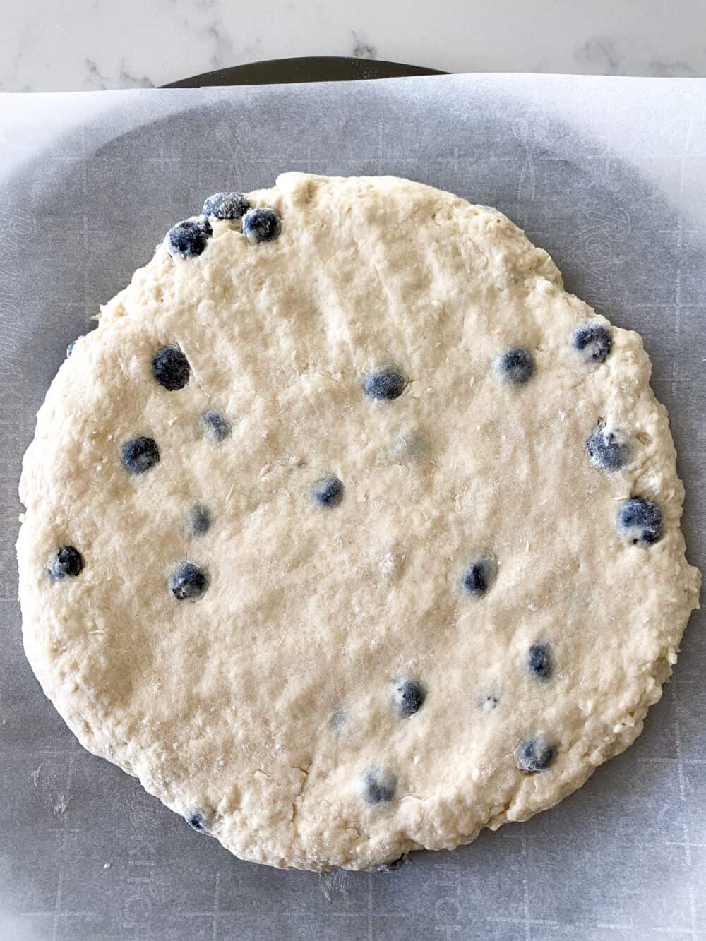 forming blueberry scones dough into a round