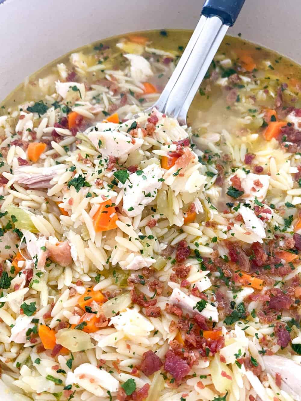 close up of chicken orzo soup 