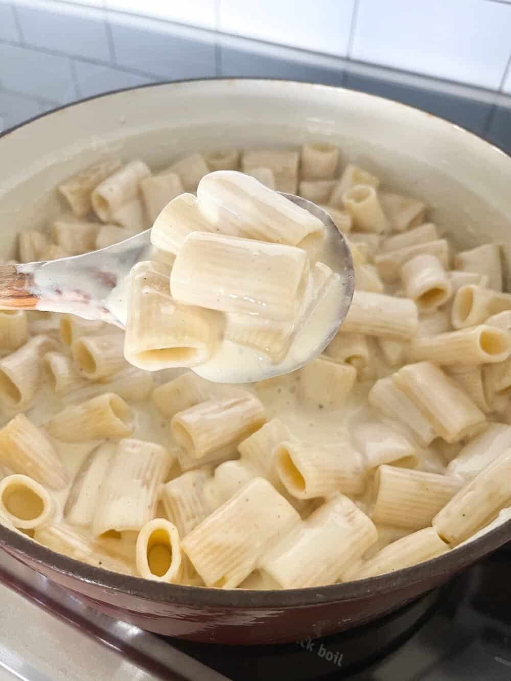 alfredo sauce in pasta 