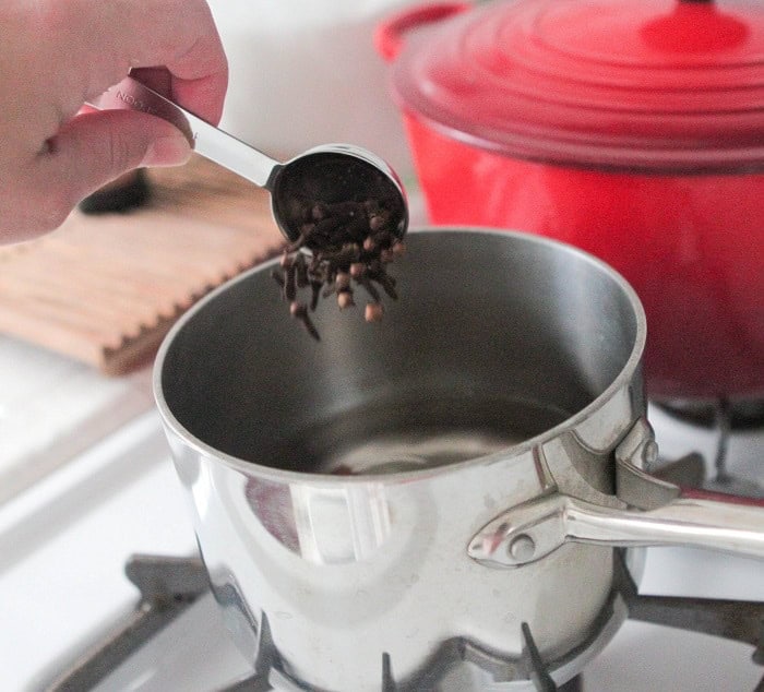 cloves added to pot of water