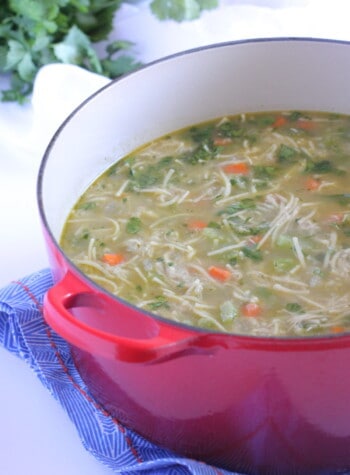 chicken noodle soup recipe in pot