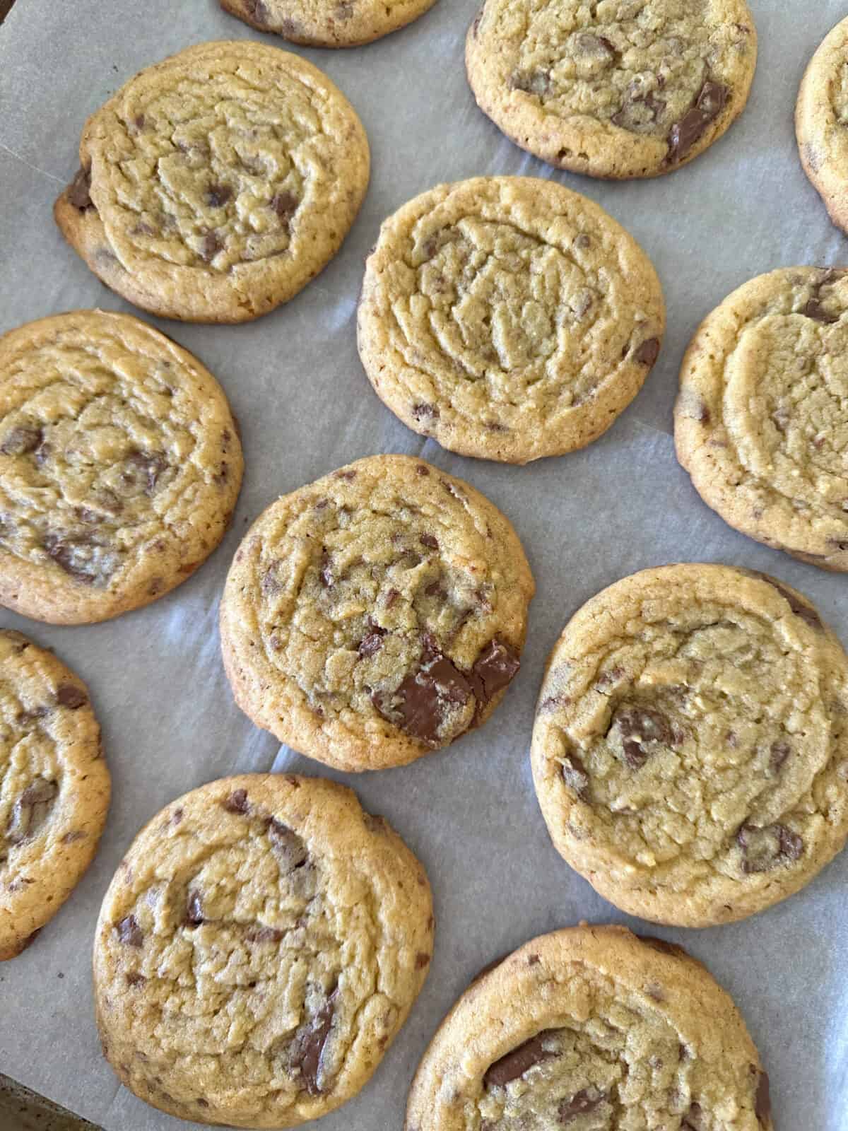 chewy chocolate chip cookies on cookie sheet