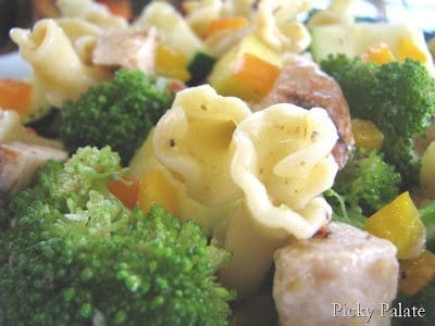 Close up of mango and grilled chicken pasta salad.