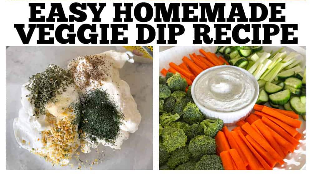 Easy Homemade Veggie Dip - The Best Dip For Vegetables!