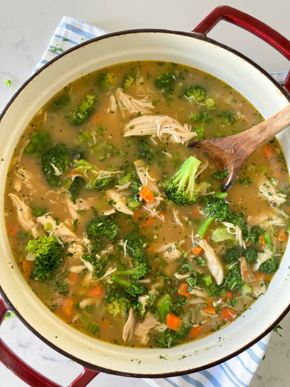 chicken vegetable soup recipe in soup pan